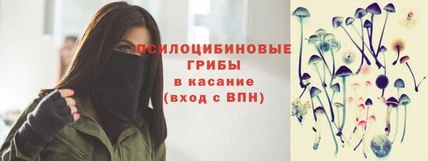 дживик Вяземский