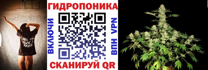 Марихуана гибрид  Елец 